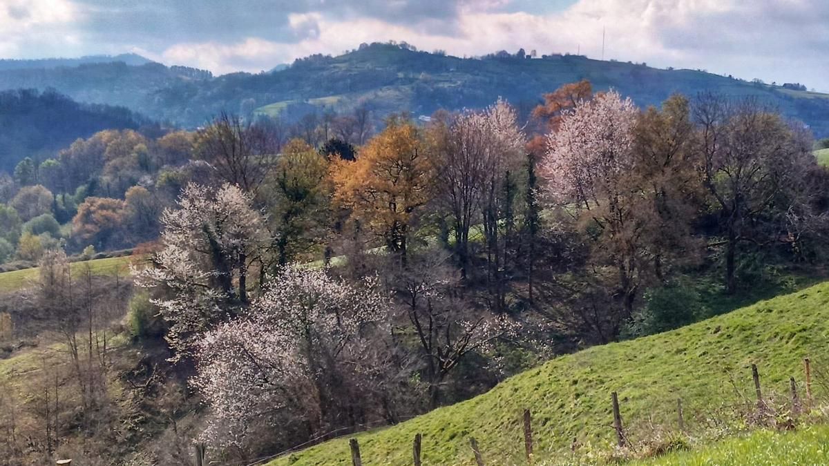 Antondegi: preservar su carácter rural para una planificación urbana sostenible