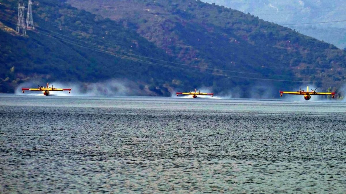 Las (espectaculares) imágenes de los luchadores y un despliegue para la historia contra los incendios de León