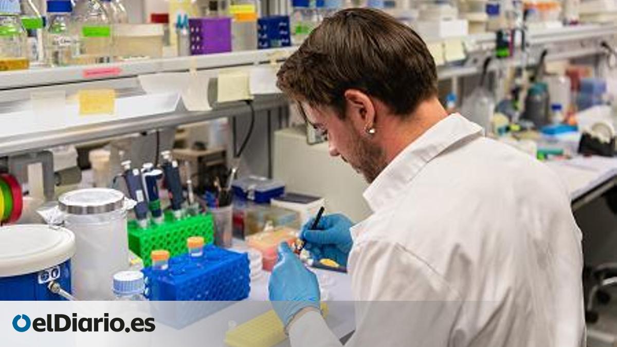 Científicos españoles logran "reprogramar" las plantas para producir nutrientes a la carta