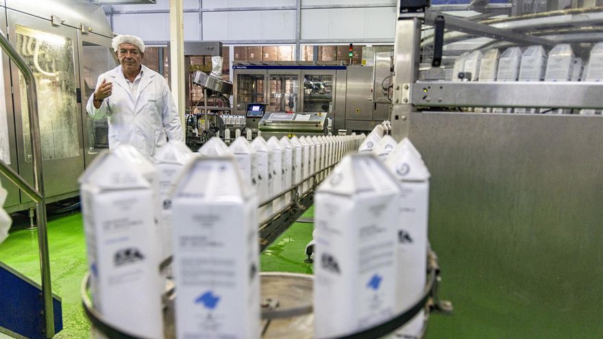 Adiós a la histórica industria lechera de Mallorca: Damm comunica a los trabajadores el cierre de Agama