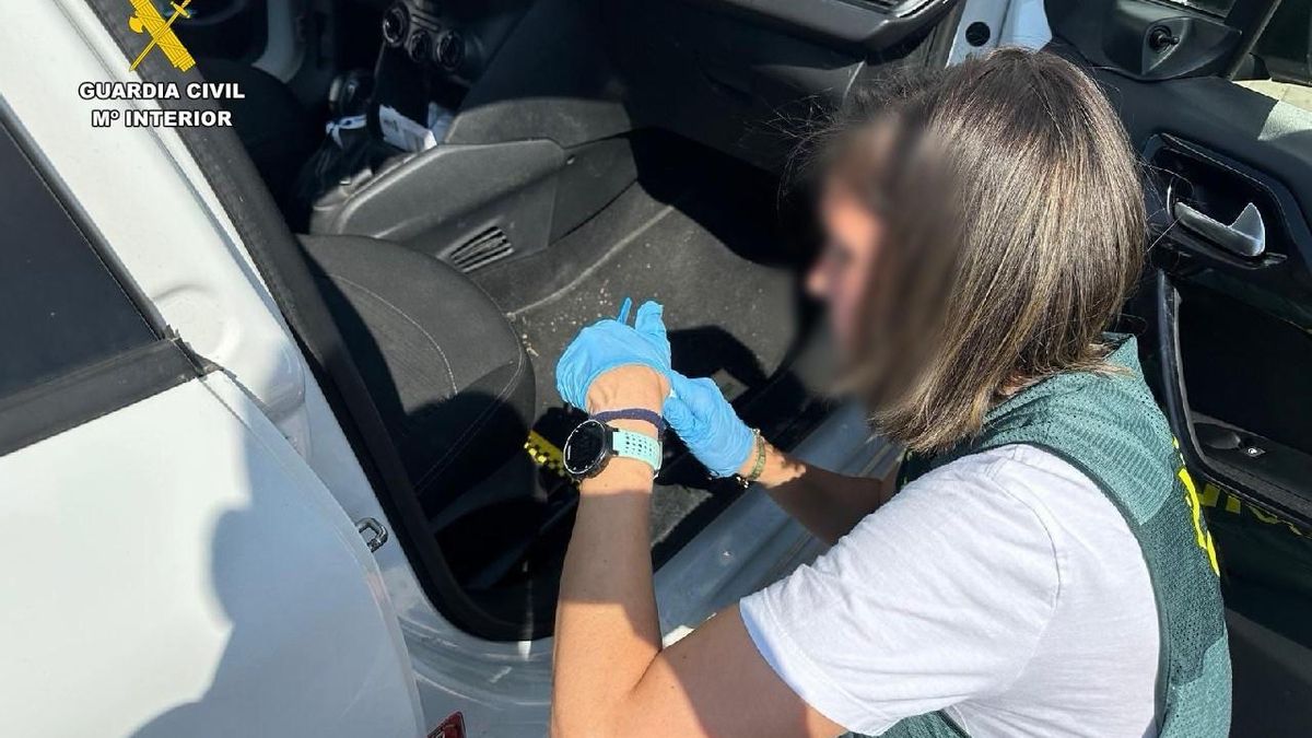 Dos detenidos por caza furtiva tras arrojar una mochila con seis cabezas de corzo para evitar un control policial en Trujillo