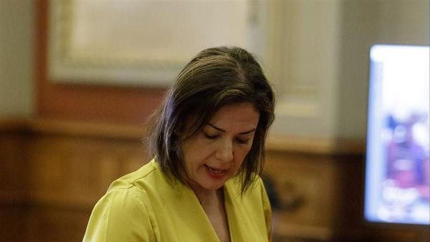Ciudadanos considera una "intromisión" que el alcalde de Santa Cruz de Tenerife imponga a Evelyn Alonso como la portavoz del partido