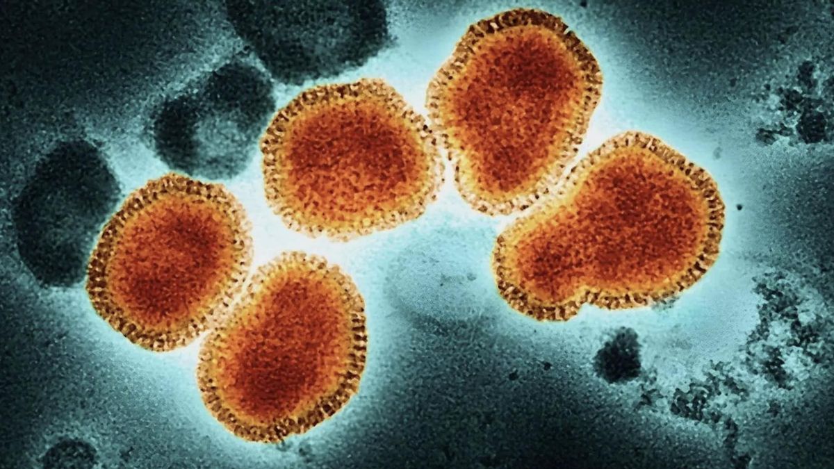 El subclado K ya encendió alertas a nivel internacional.