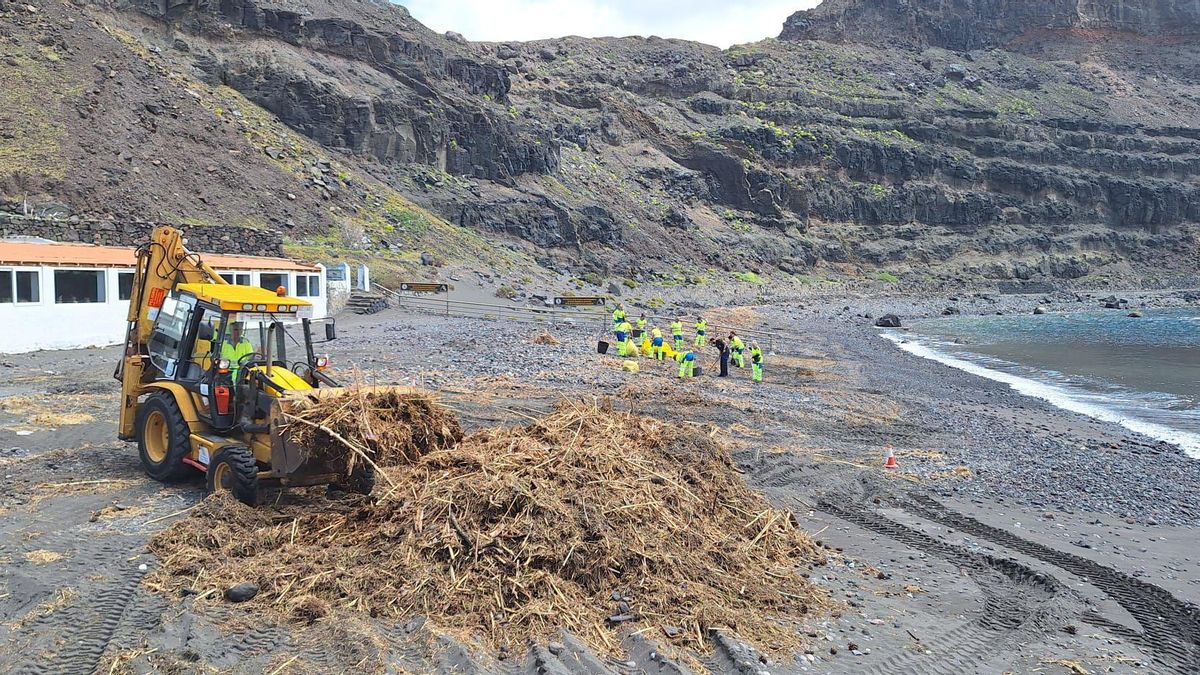 El Ayuntamiento colabora en las labores de limpieza en Agaete tras el paso de la borrasca Therese