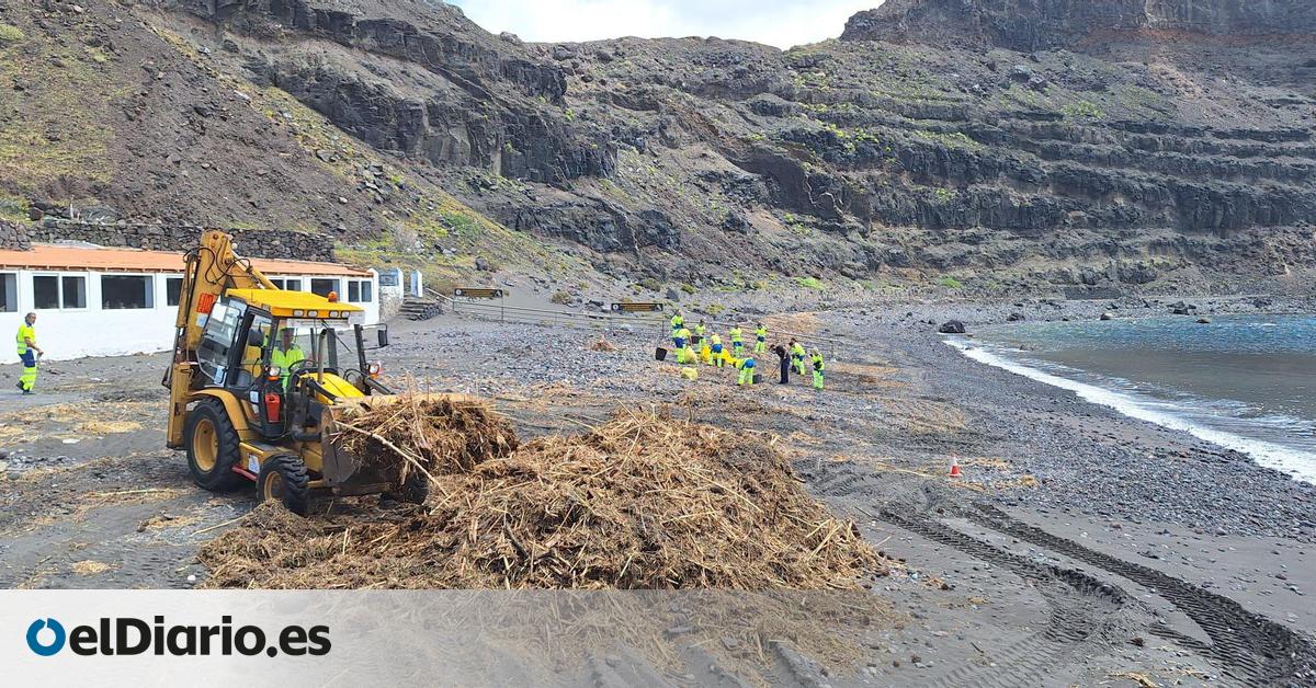 El Ayuntamiento colabora en las labores de limpieza en Agaete tras el paso de la borrasca Therese