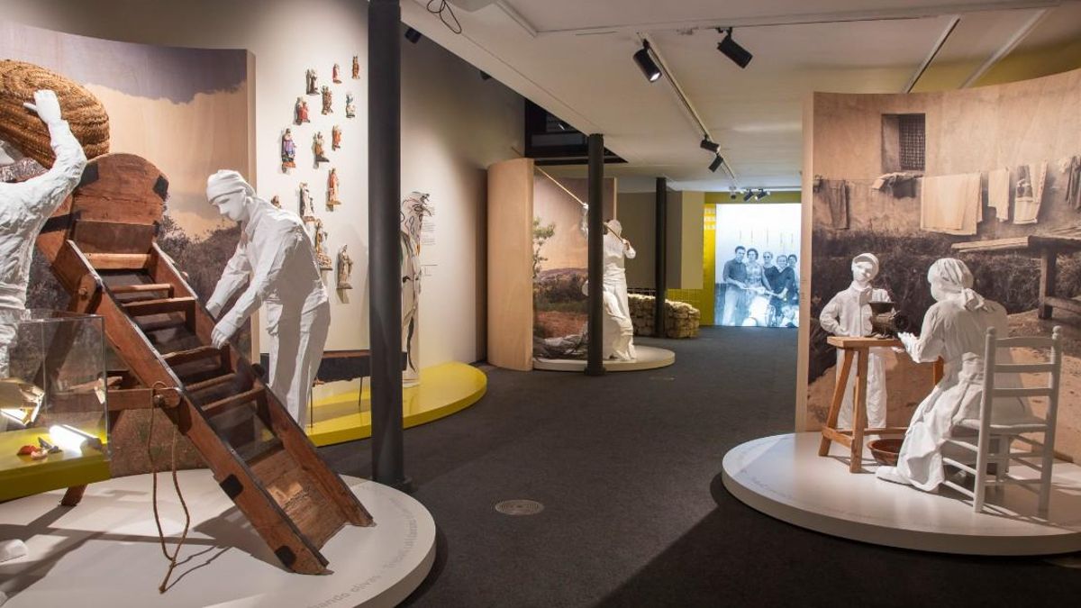 L'ETNO acull l'exposició 'Solsida'.