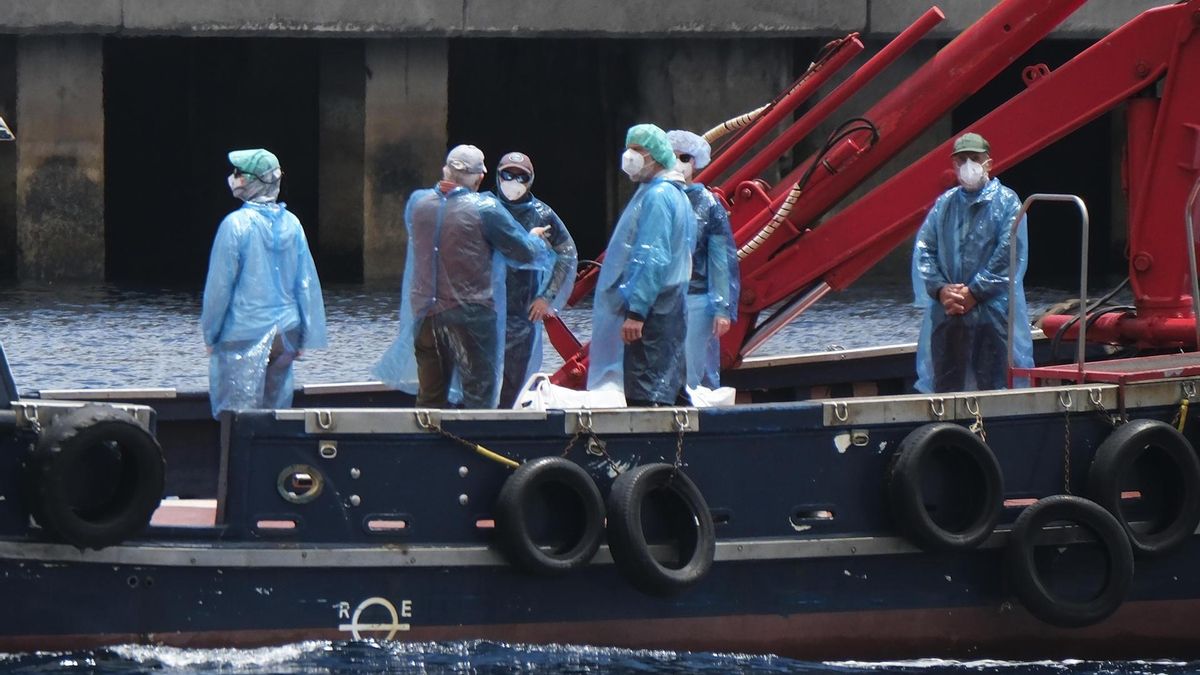 MV Hondius: lo hacemos porque debemos
