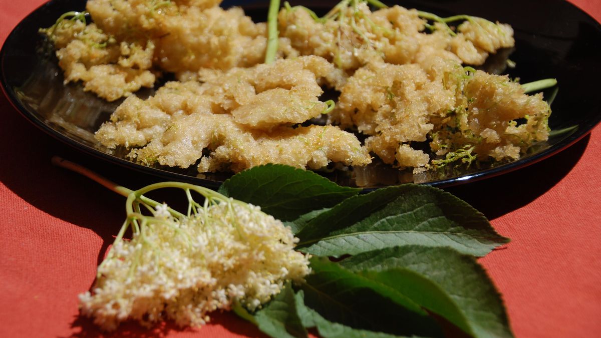 Flores de saúco rebozadas en tempura