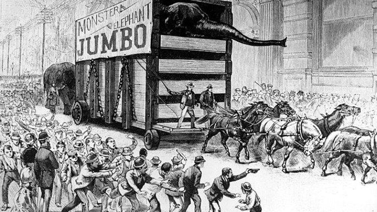 Jumbo, el elefante africano más famoso del momento, fue el encargado de cerrar el desfile