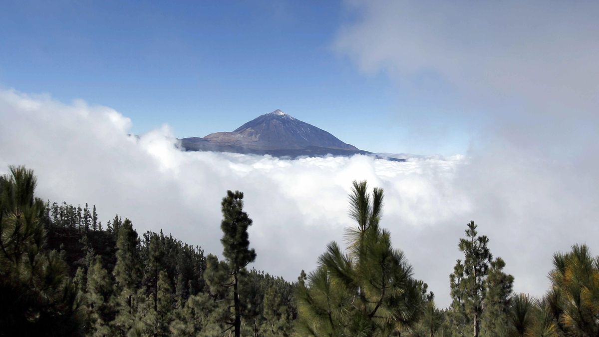Científicos del Plan de Emergencias Volcánicas vuelven a reunirse este viernes para analizar el último enjambre sísmico en el Teide