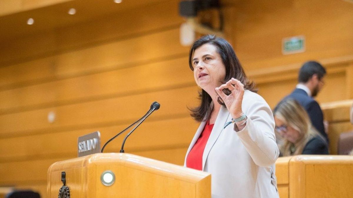 El PP exige al Gobierno de España que actúe para frenar la subida de tasas aeroportuarias que "castiga a Canarias"