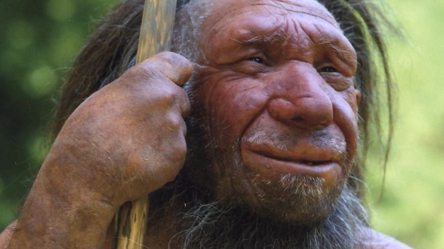 Un variante genética de los neandertales podría explicar por qué algunas personas desarrollan más músculo