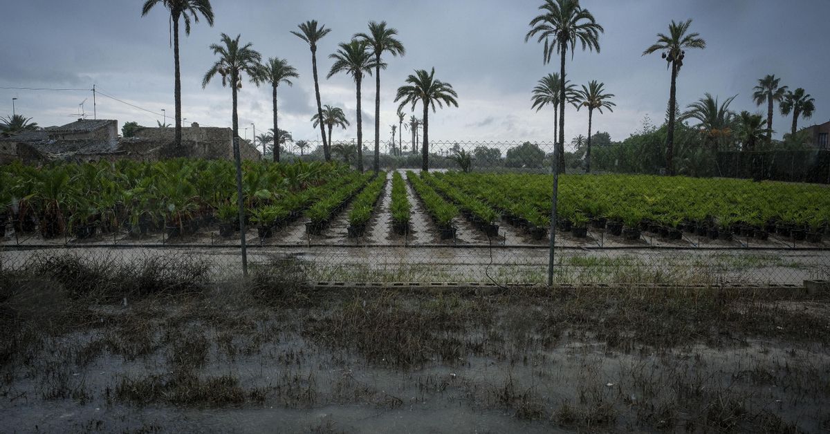 La dana deja en ocho horas 136 litros por metro cuadrado en las Islas Columbretes (Castellón) y 42 en Alicante