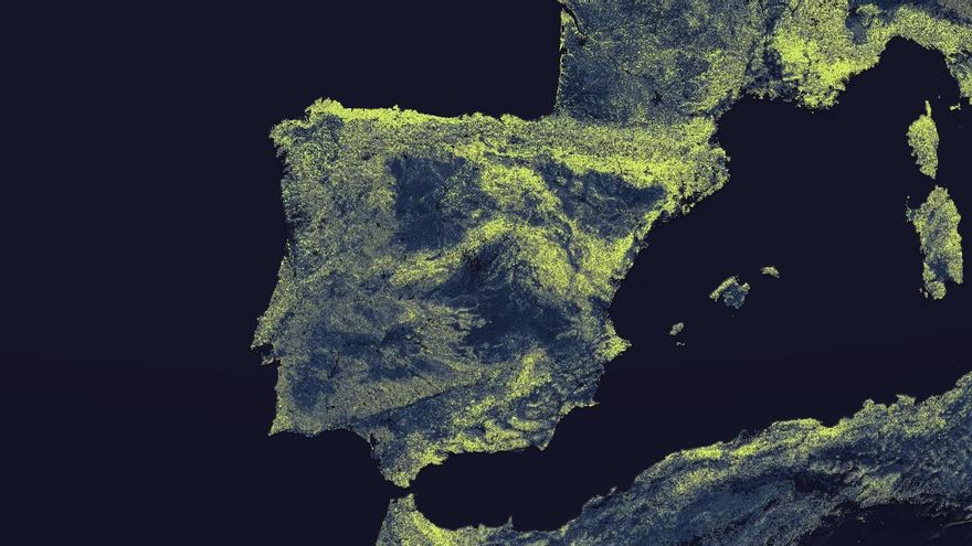 Las redes de hongos micorrízicos arbusculares de la Península Ibérica