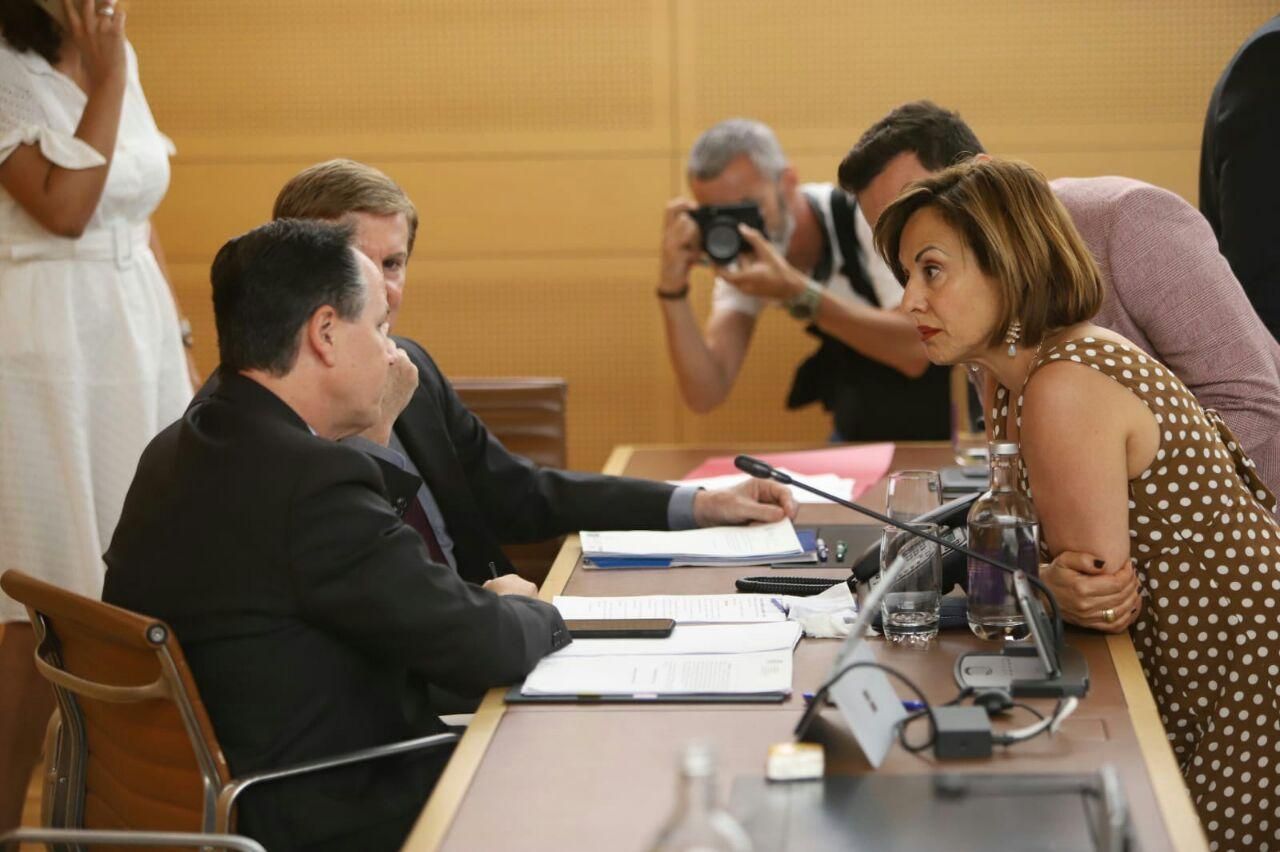 Pleno extraordinario en el Cabildo de Tenerife
