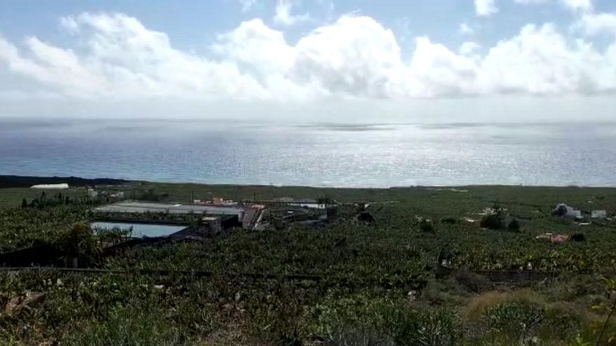 Asprocan muestra “preocupación” por la nueva carretera de Tazacorte que "sacrifica" 10 hectáreas de plataneras