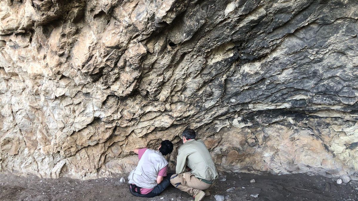 Hallada una nueva estación de arte rupestre en Hellín
