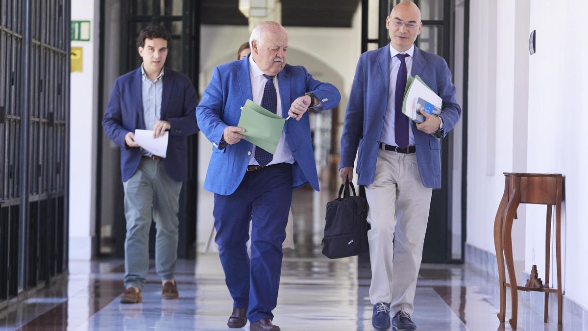 Un informe del Parlamento andaluz pide obligar a la Policía a solicitar permiso para entrar tras reclamar amparo un diputado