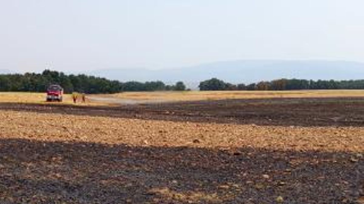 Incendio en la zona de Cañas