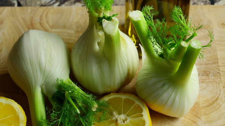 Bulbos de hinojo
