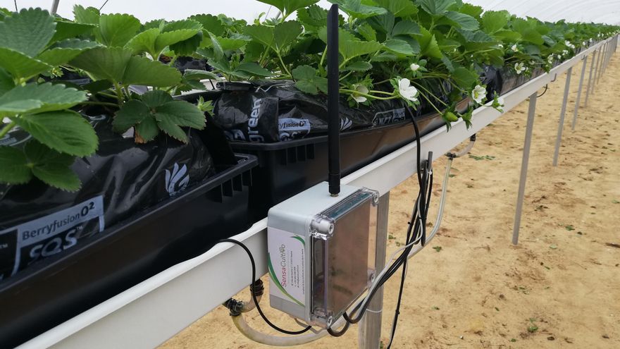 Innovaciones andaluzas para alcanzar un riego más eficiente en el campo y en las zonas verdes