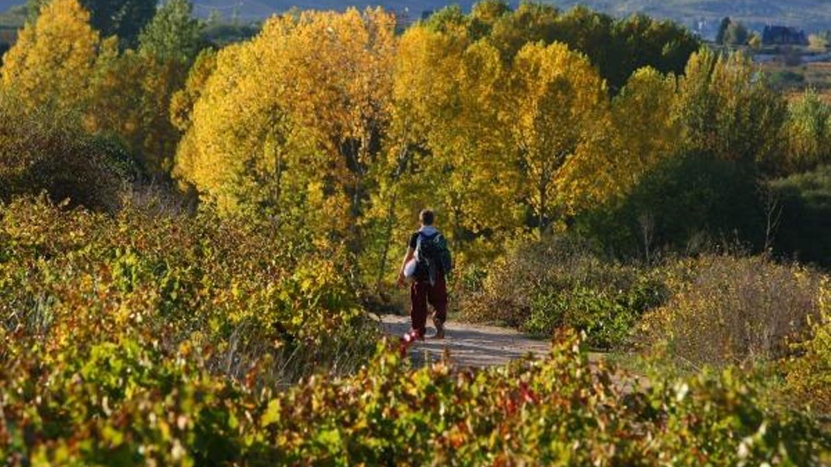 El tiempo en León, hoy lunes 26 de octubre: cielos despejados y gran amplitud térmica