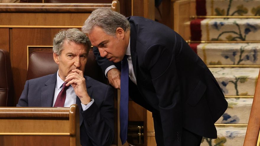 El presidente del PP, Alberto Núñez Feijóo (i) y el vicesecretario General de Política Autonómica y Municipal y Análisis Electoral del PP, Elías Bendodo (d), durante una sesión de control al Gobierno en el Congreso de los Diputados, a 14 de mayo de 2025,