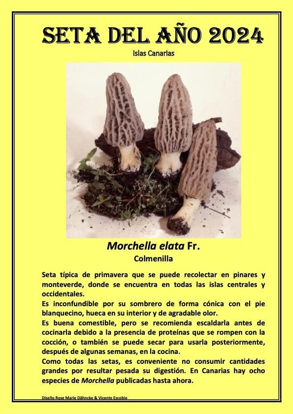 Diseño de Rose Marie Dähncke y Vicente Escobio.