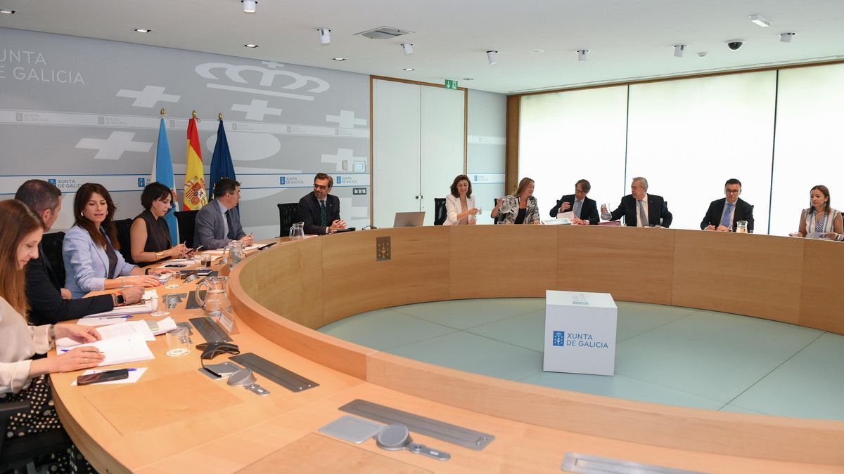 El conselleiro de Presidencia, Diego Calvo, conduce la reunión del Consello por la ausencia de Alfonso Rueda, que se encuentra en un acto institucional en Porto.