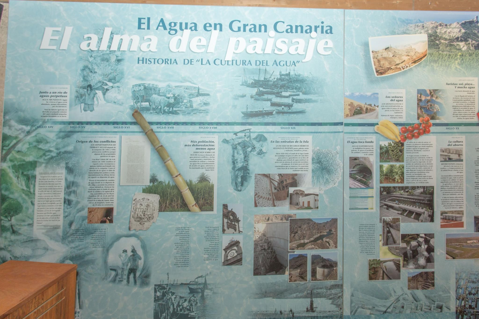 Recorrido institucional por el Barranco del Guiniguada en el Día Mundial del Agua.