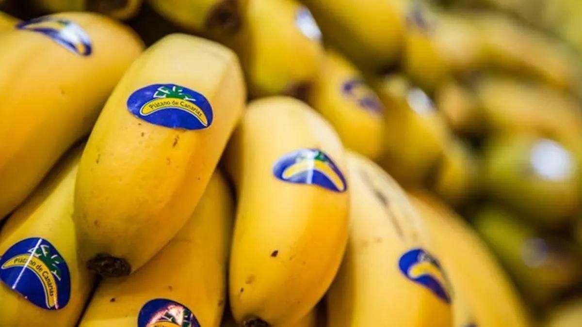 La recuperación del plátano tampoco llega en septiembre, que ‘regala’ el peor precio al agricultor del año: 0,321 euros el kilo
