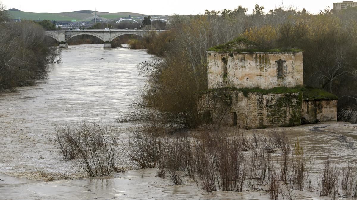 Crecida del río Guadalquivir a su paso por Córdoba