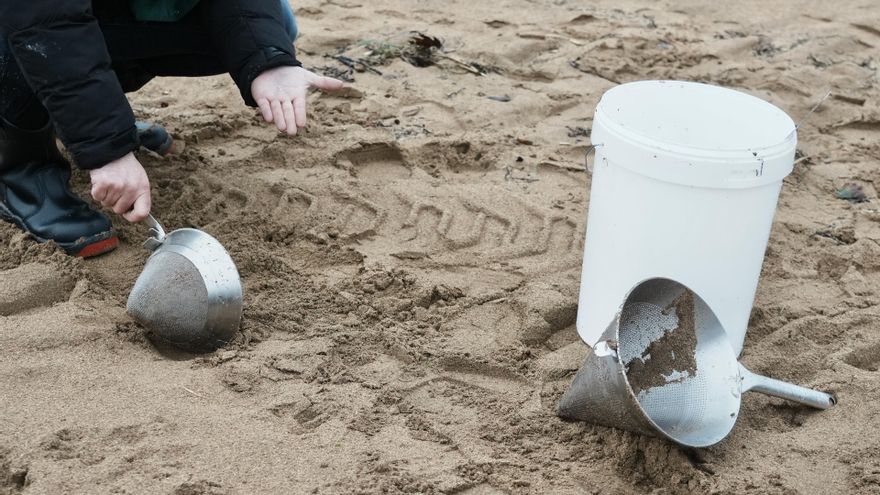 Archivo - Un voluntario recoge pellets en la playa