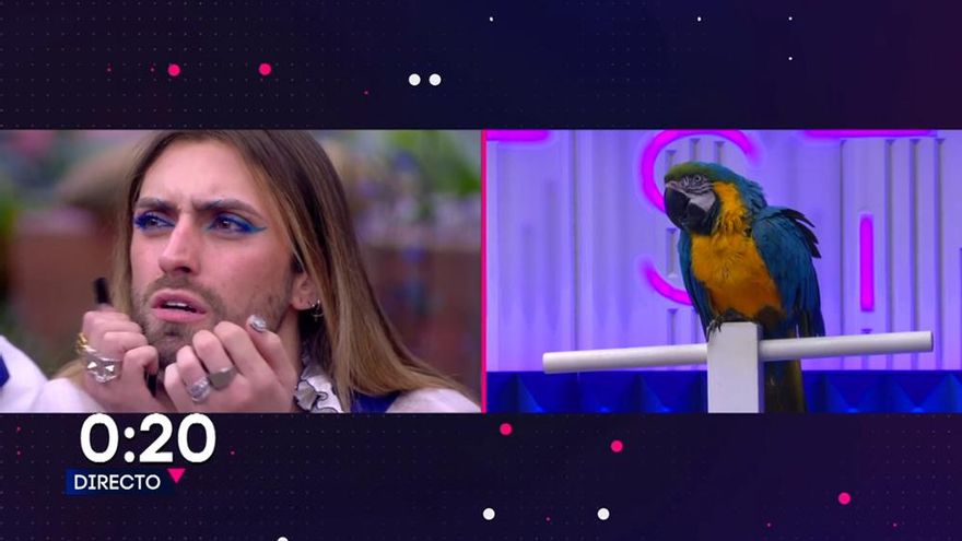'Secret Story' dio a la guacamaya Gus el poder de cerrar la primera lista de nominados