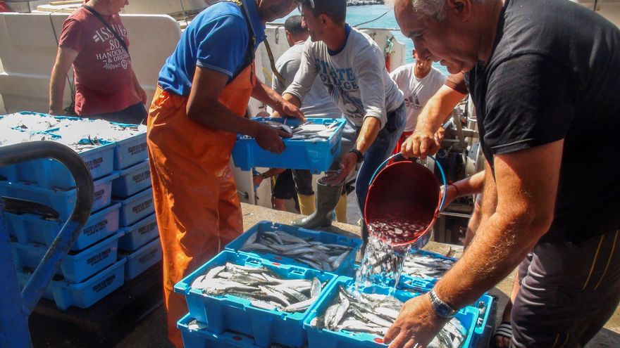 La justicia europea confirma la anulación del acuerdo pesquero de Marruecos y la UE por vulnerar los derechos del Sáhara