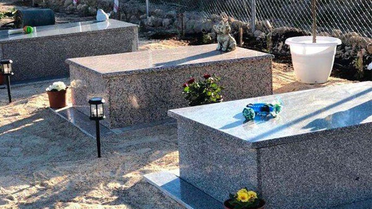 ¿Dónde enterrar a nuestras mascotas? No se puede en cualquier sitio y Castilla-La Mancha quiere regularlo