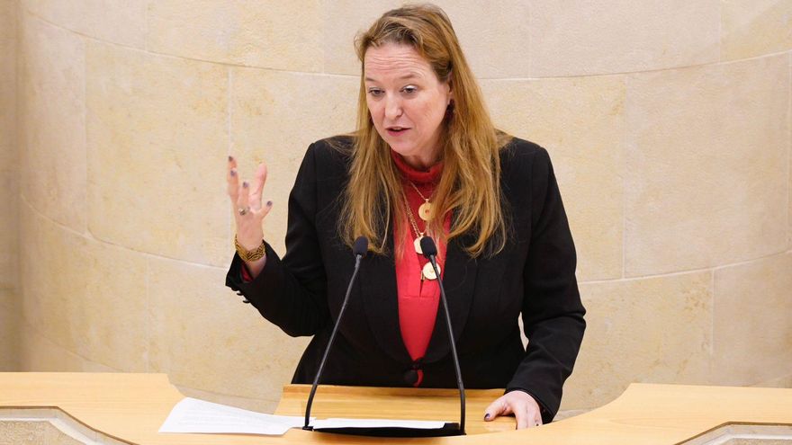Leticia Díaz, portavoz de Vox en Cantabria.