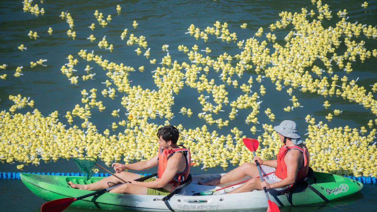 La carrera reunirá en ell Ebro a miles de patitos