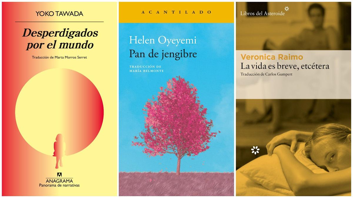 Libros san valentin