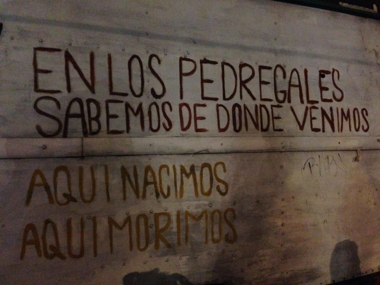 El arraigo con el territorio de la comunidad de Pedregales de Coyoacán derivó en la formación de diversos movimientos sociales.