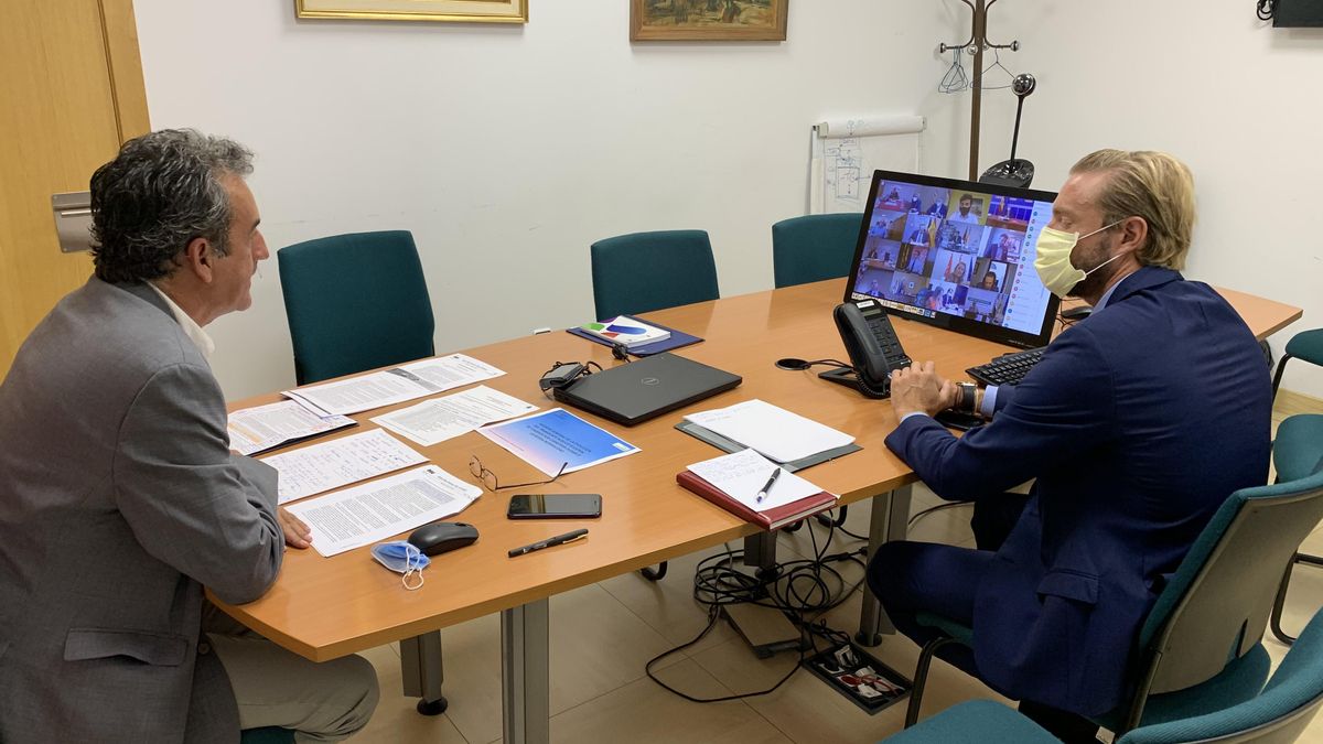El consejero de Transporte y su director general, durante el encuentro por videoconferencia.