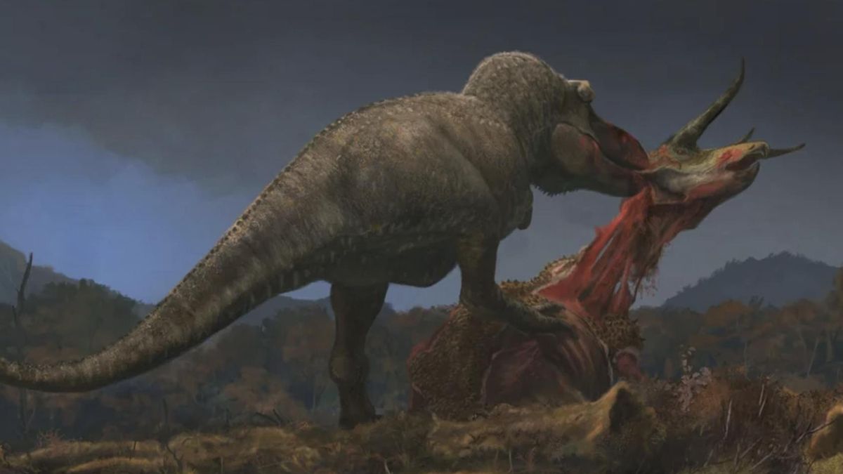 Las pruebas reunidas en los restos óseos muestran Tyrannosaurus rex que crecían con rapidez, caminaban desde muy pronto y empezaban a buscar alimento durante una etapa muy temprana