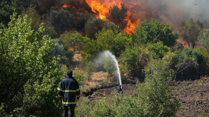 La ONU preparada para movilizar su apoyo a Siria por devastadores incendios forestales