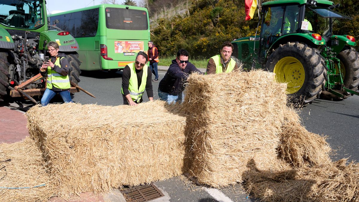 Participantes en la movilización del campo arrojan paja para cortar la carretera