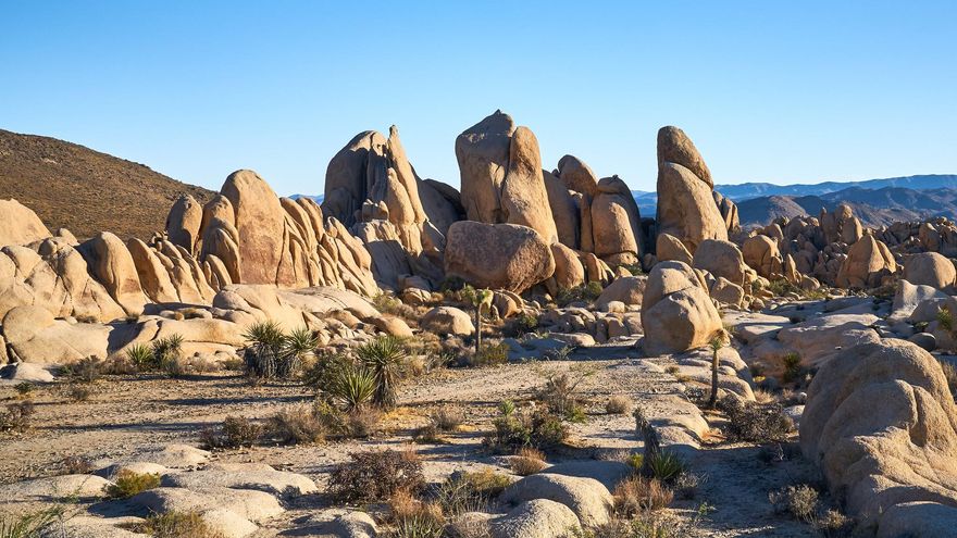 Formaciones rocosas en Joshua Tree National Park.