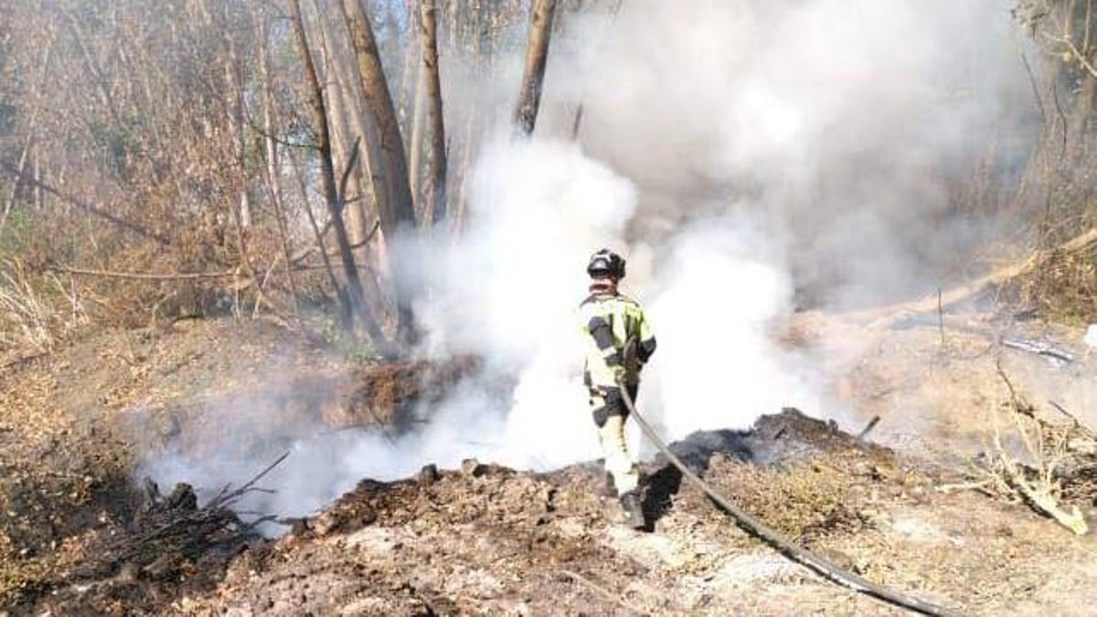 Los bomberos de la Diputación de León sofocan un conato de incendio en un descampado de Valencia de Don Juan