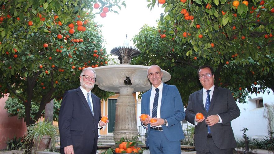Naranjas del Alcázar de Sevilla para que el embajador le haga mermelada a su muy británica majestad