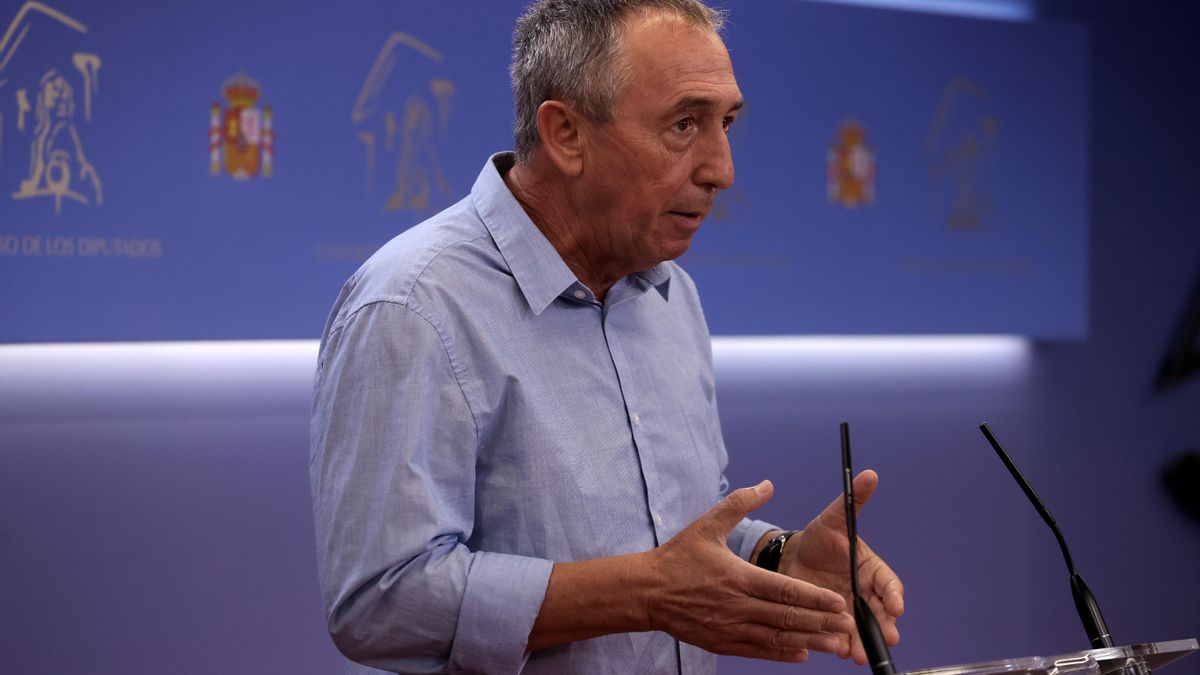 El diputado de Compromís, Joan Baldoví. EFE/Juanjo Martín/Archivo