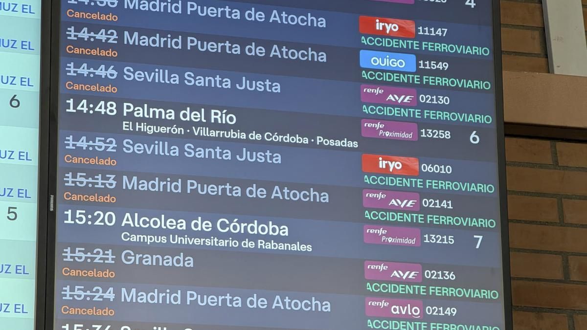 "Nos hemos tenido que buscar la vida": la odisea de los viajeros en la estación de autobuses de Córdoba