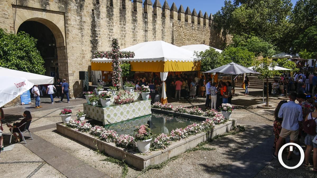 Tercer premio en Zonas Modernas Cruz de la Asociación Vecinal Huerta del Rey